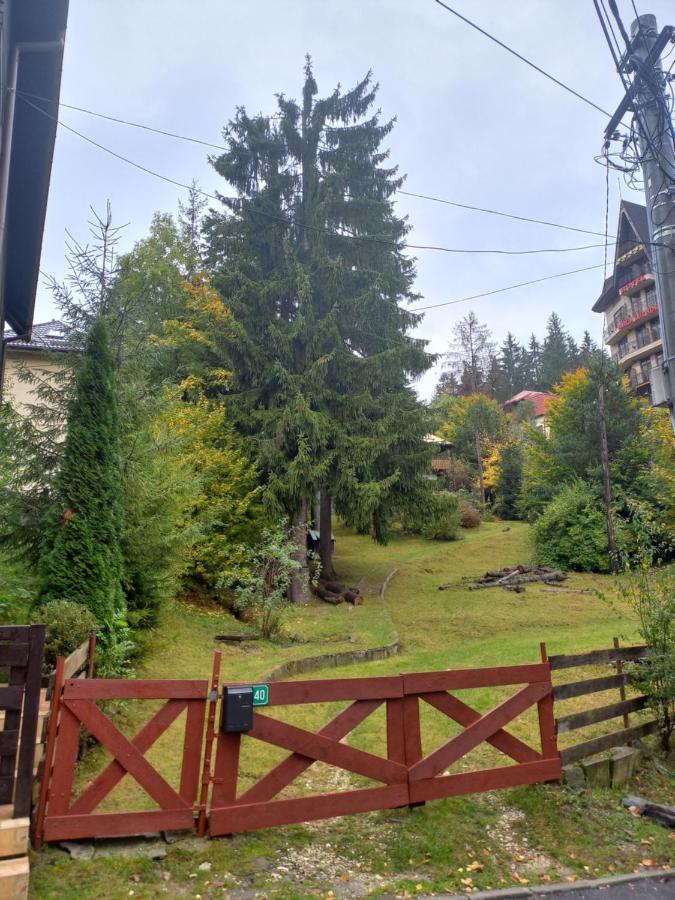 Apartament Aosta Central Sinaia Apartment Exterior photo